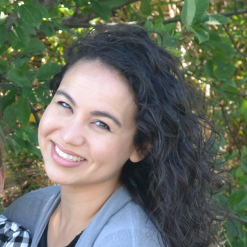 CIT 230 Assignment Portal Julie L Spackman BYU Idaho 2019 CIT 230 Assignment Portal Julie L Spackman BYU Idaho 2019